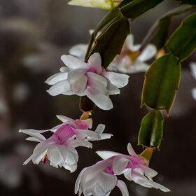 ����. ������. �������