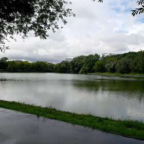 ����. ��� �����. ���� � ��������� �����