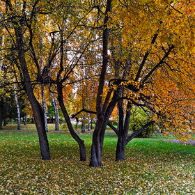 Лучшие фото. Природа (0)