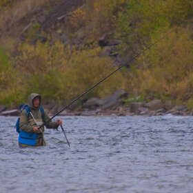 ������ ����. ���������� �� �����������