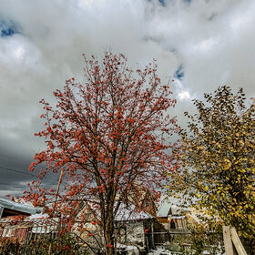 Лучшие фото. ПРИРОДА (0)