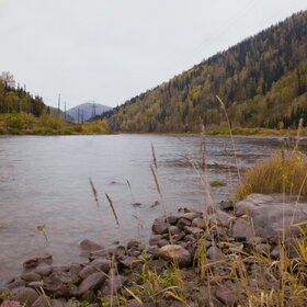 ����. ���� �� �����������. ���������� �� �����������