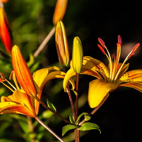 ����. ������. �������