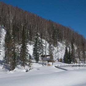 ������ ����. ���������� �� �����������