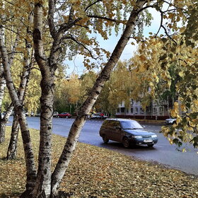 Новые фотографии. ПРИРОДА