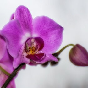 ����. ������. �������