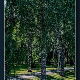 Лучшие фото. ПРИРОДА (0)