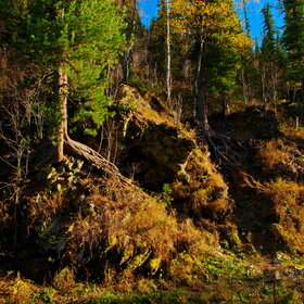 ������ ����. ���������� �� �����������