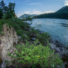 ����. ���� �� �����������. �����������