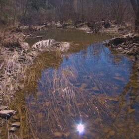 ����� ����. �������