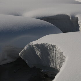 ����� ����. ���������� �� �����������