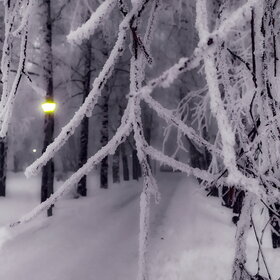 ����. ������. �������