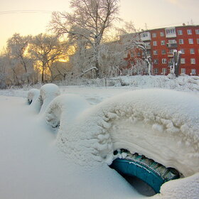 ����. ������. �������