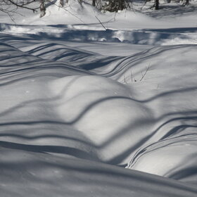 ������ ����. ���������� �� �����������