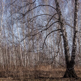 Новые фотографии. ПРИРОДА
