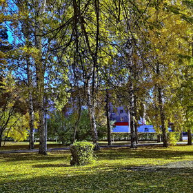 Новые фотографии. ПРИРОДА