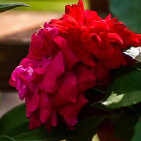 ������ ����. ������� (0)