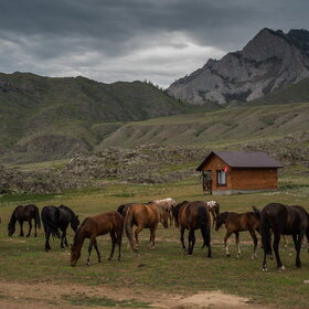 ������ ����. ���������� �� �����������