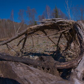 ����. ������. �������