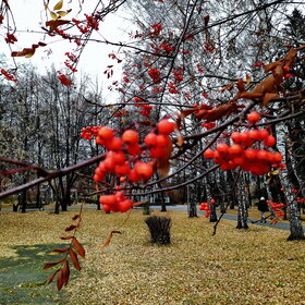 ����. ������. �������