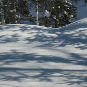 ����. -- �������� ������ --. ���������� �� �����������