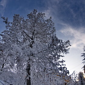 ����. ������. �������