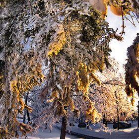 ����. ������. �������