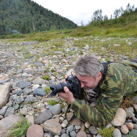 ������ ����. ���������� �� �����������