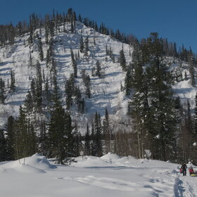 ������ ����. ���������� �� �����������