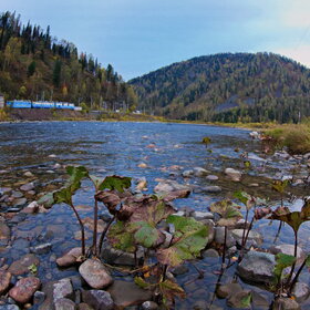 ������ ����. ���������� �� �����������