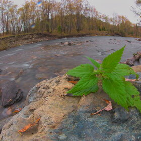 ������ ����. ���������� �� �����������