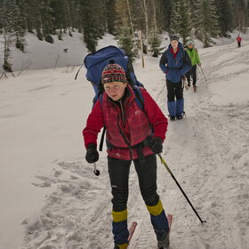 ������ ����. ���������� �� �����������