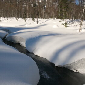 ����� ����. ���������� �� �����������