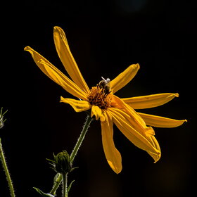 ����. ������. �������