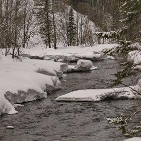 ������ ����. �����������