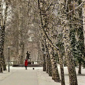 ������ ����. �������