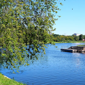 ����. �����. ���������� ����