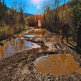 ������ ����. ���������� �� �����������