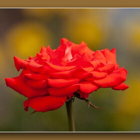 Новые фотографии. ПРИРОДА