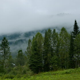 ����� ����. ���������� �� �����������