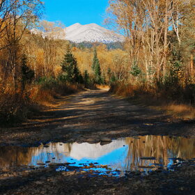 ������ ����. ���������� �� �����������