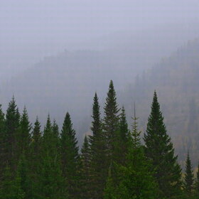 ������ ����. ���������� �� �����������