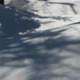 ������ ����. ���������� �� �����������