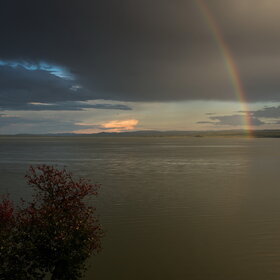 ����. ������. �������