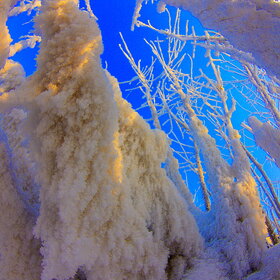 ����. ������. �������