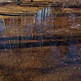 ����. ������. �������