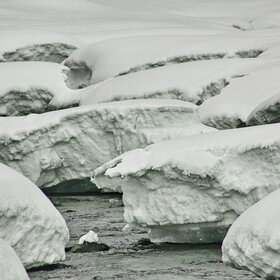 ������ ����. ���������� �� �����������