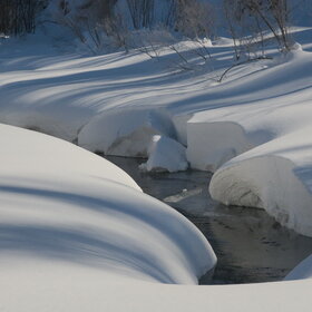 ����� ����. ���������� �� �����������