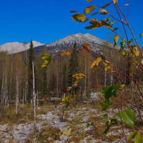 ����� ����. ���������� �� �����������