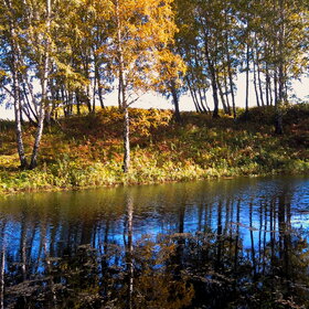 ������ ����. �������